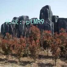 ѧ