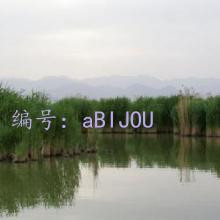 Ȼ