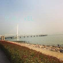 ζ